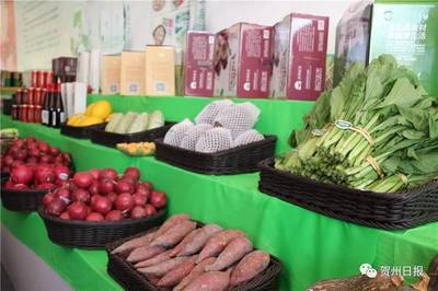 贺州农特产品亮相丰收节，品质优鲜引购潮