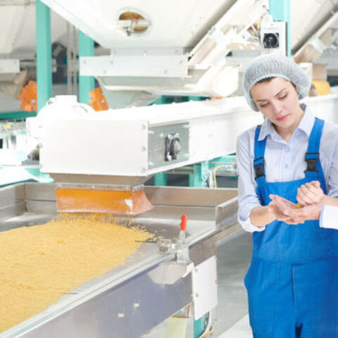 食品农产品 从田间到餐桌的质量安全与可持续发展