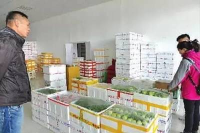 构筑农产品物流新格局 天津海吉星农产品物流园蔬菜交易区运营侧记