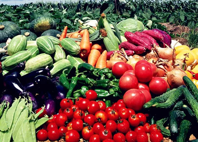 安庆两县成功入选安徽省农产品质量安全县名单，农产品安全保障再上新台阶