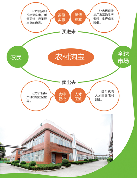 阿里巴巴进驻平阳，农产品产业迎来发展新机遇