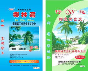 文昌市东郊椰子活性炭厂 农产品加工的创新典范