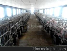 携手共赢，优质良种——平度市万家明君良种猪场诚邀农产品代理加盟