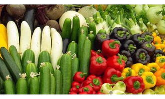 2018年农产品质量安全监管 成效、挑战与展望