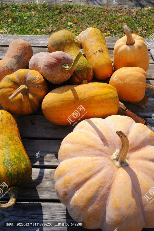 优质农产品图片素材下载 聚焦农林渔牧下的瓜果种植视觉资源